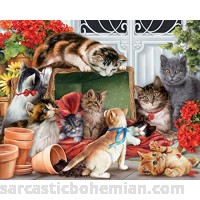 Vermont Christmas Company Garden Cats Jigsaw Puzzle 1000 Piece B01090JYJI